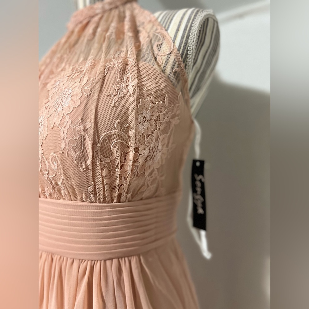 Sonsiya Blush Pink Lace Chiffon Maxi Dress Size 12 Formal Gown NWT - Picture 10 of 12
